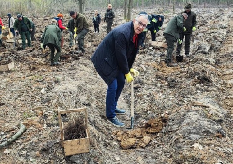 Dolnośląska Solidarność posadziła drzewa