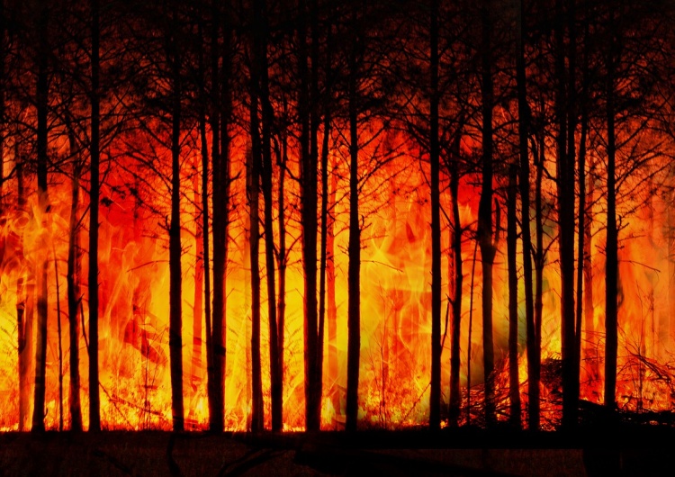  Potężne pożary lasów w Rosji. Do tej pory z kataklizmem walczyło wojsko. Teraz jest na Ukrainie
