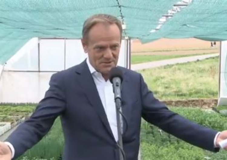 Przewodniczący PO Donald Tusk [wideo] „Drogi Jarosławie, stań do debaty, nie ukrywaj się za ministrami i za swoimi kłamstwami”. Tusk buńczucznie odpowiada na wezwanie przedsądowe prezesa PiS