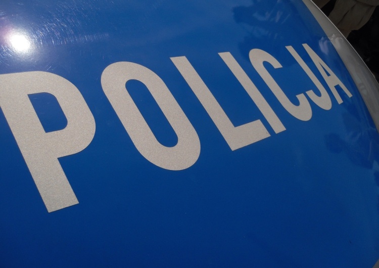  „Ustawka” pseudokibiców na autostradzie. Musiała interweniować policja