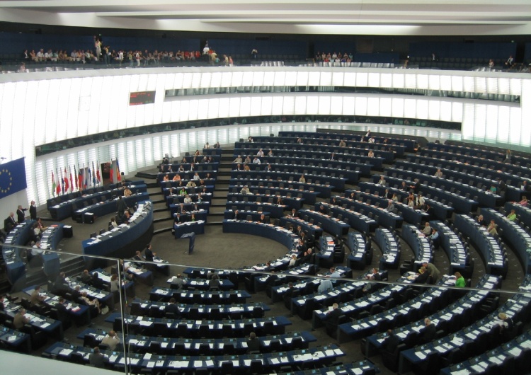 ilustracja Europoseł PiS: Polska opozycja w Parlamencie Europejskim wymiękła, to kapiszon