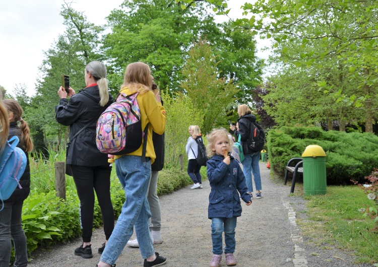  Uśmiechy na buziach dzieci i smutne oczy mam. Wycieczka do opolskiego zoo uchodźców z Ukrainy