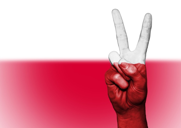 Flaga Polski [Tylko u nas] Prof. David Engels: Polska potrzebuje 