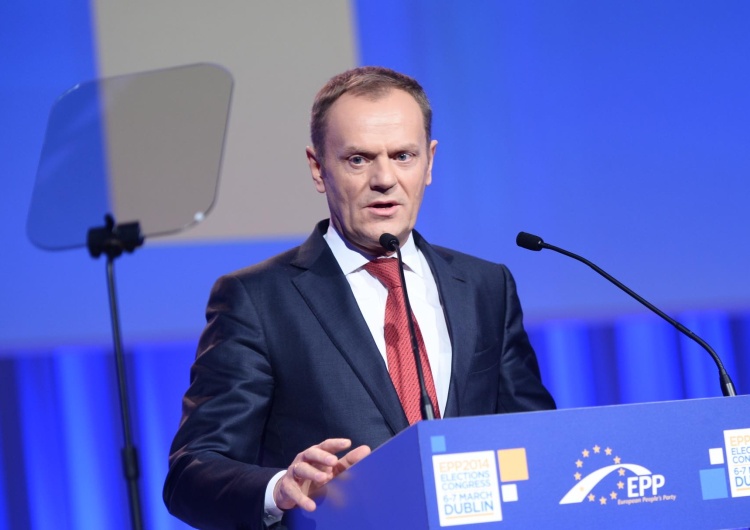 Tusk przemawiał podczas zjazdu Forza Italia. Internauci przypominają postawę Berlusconiego wobec napadniętej Ukrainy