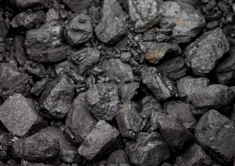 Minister klimatu: Zapełniliśmy lukę po węglu z Rosji. Surowiec płynie do Polski