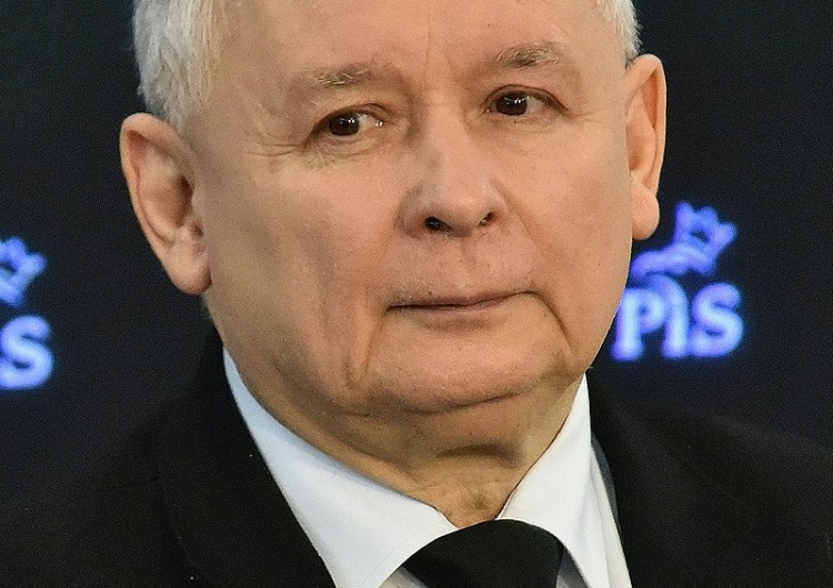 Jarosław Kaczyński Krystyna Pawłowicz do prezesa PiS: Skoro