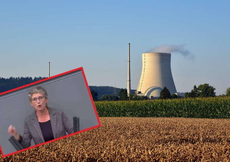 Szwedzcy Zieloni ostro do niemieckich Zielonych: