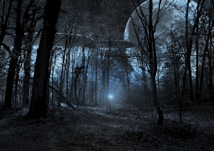 UFO Amerykańskie media: Ukraińscy naukowcy odnotowali dużą liczbę UFO. Tak, UFO