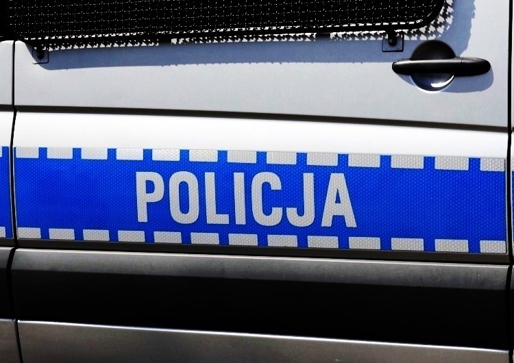 Zwłoki 4-latka zakopane w lesie. Nowe informacje