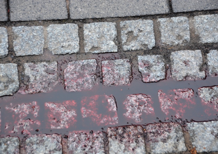 „Robert zginął, ponieważ był Polakiem”. Wielka Brytania: Sąd wydał wyrok ws. brutalnego morderstwa