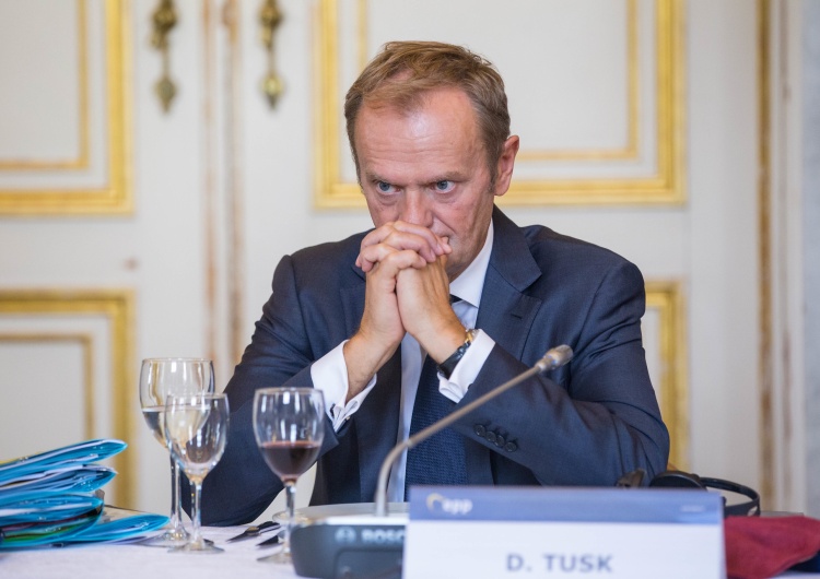 Przewodniczący PO Donald Tusk Polacy ocenili szanse opozycji na zwycięstwo w wyborach. Wynik nie pozostawia złudzeń