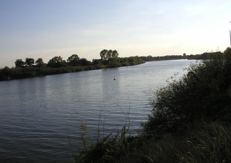 Odra
