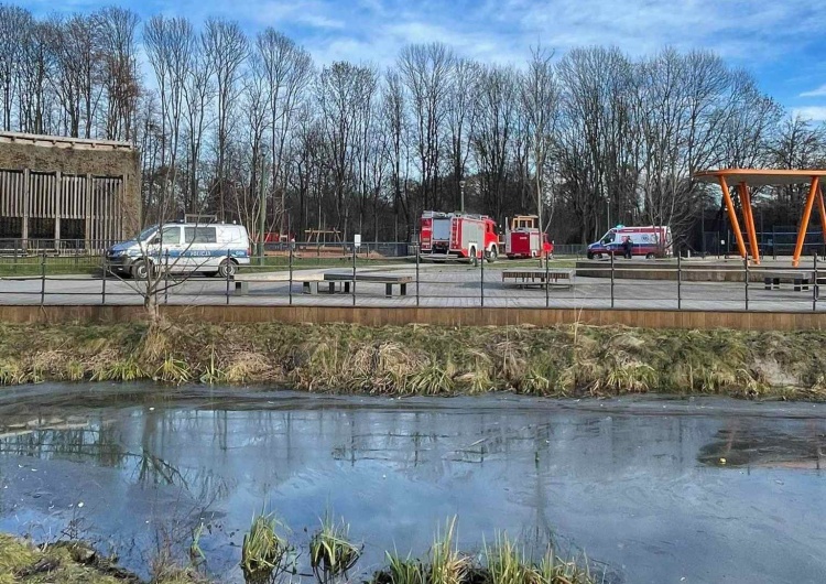 Okolice Zalewu Nowohuckiego Makabryczne odkrycie w Krakowie. Znaleziono zwłoki mężczyzny