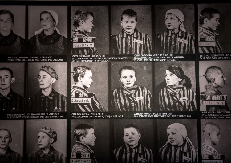 zdjęcia małoletnich więźniów KL Auschwitz Abp Gądecki w L’Osservatore Romano: Holocaust to największa przestroga dla ludzkości