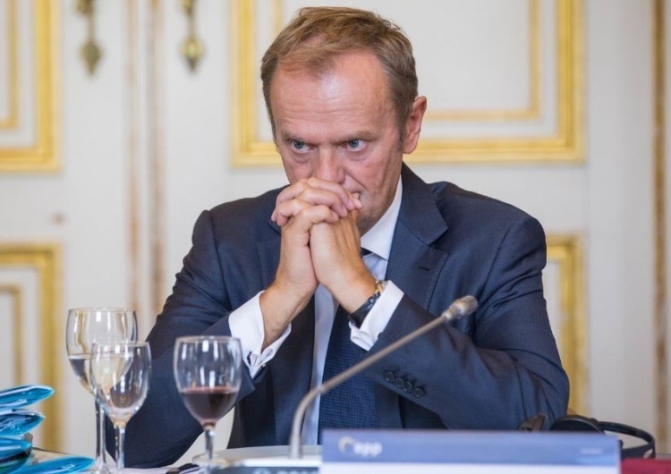 Donald Tusk Który scenariusz jest najlepszy dla opozycji? Najnowszy sondaż