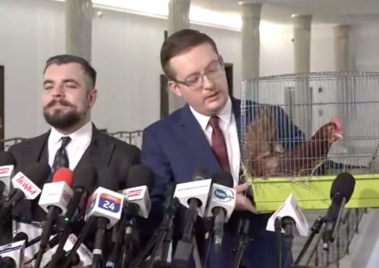 Tego jeszcze nie było! Posłowie Konfederacji przynieśli do Sejmu… kurę