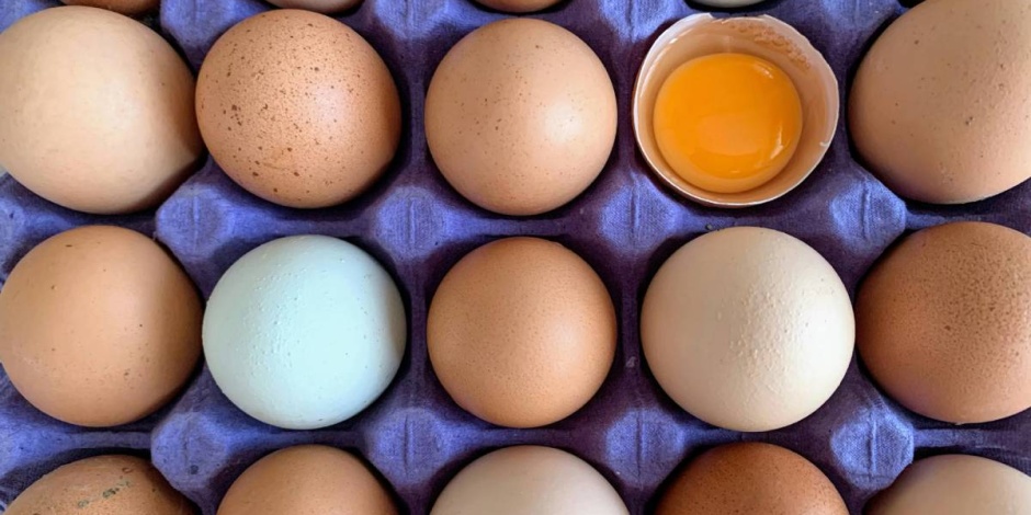 Brazylijskie mięso drobiowe i jaja zwolnione z unijnych kontroli jeszcze przed zawarciem umowy UE–Mercosur