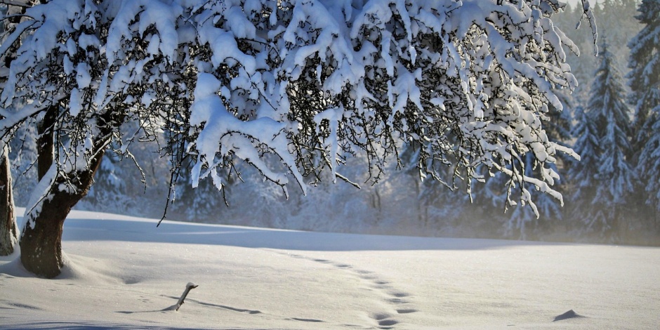Marcin Bąk: Co dalej z tą pogodą? 