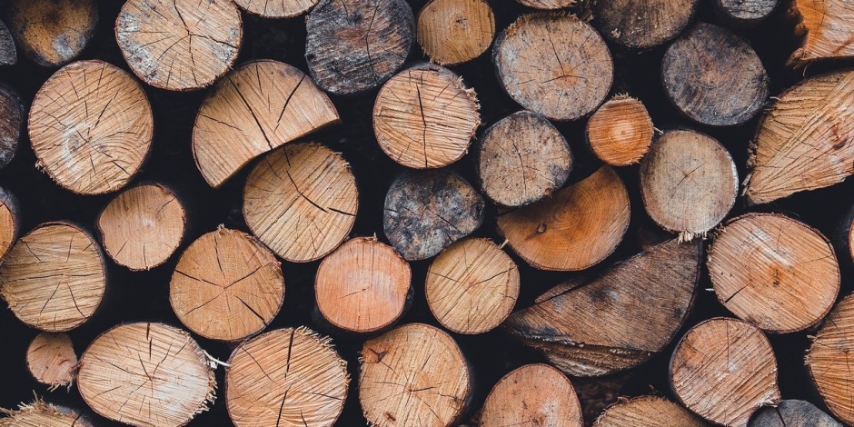 Pieniądze od Lasów Państwowych trafią do NFOŚiGW? Solidarność protestuje przeciwko kolejnej daninie
