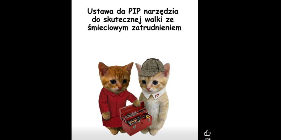 Ministerstwo tłumaczy reformę PIP za pomocą filmiku z kotkami. Na konsultacje społeczne czasu zabrakło