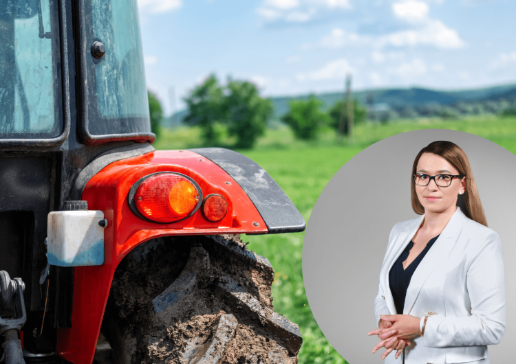 Monika Przeworska, Instytut Gospodarki Rolnej Niemieccy rolnicy wyszli na ulice niemieckich miast. Monika Przeworska [Instytut Gospodarki Rolnej]: Przyłączamy się do protestu