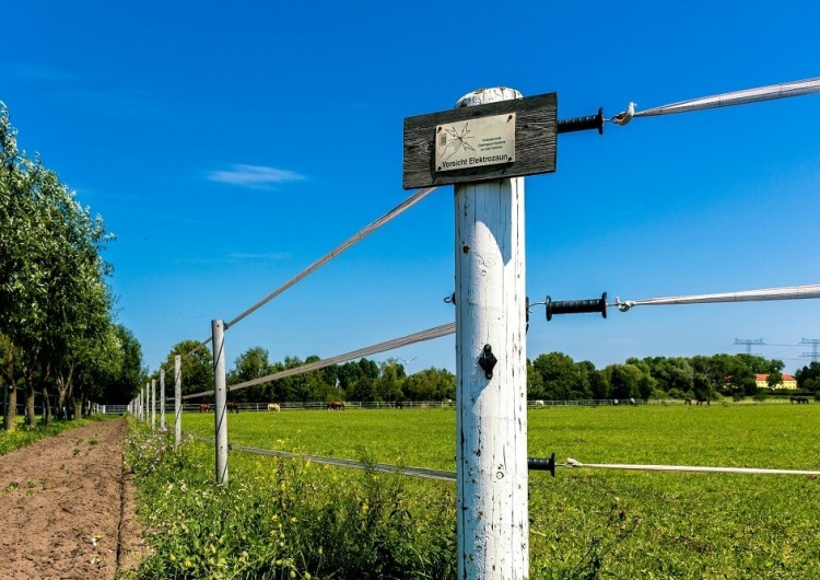  Bramy do ogrodzeń elektrycznych: kompleksowy przewodnik wyboru